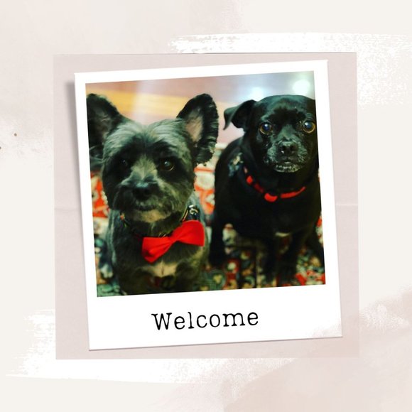 Meet Your Posher - Welcome! - Picture 1 of 2